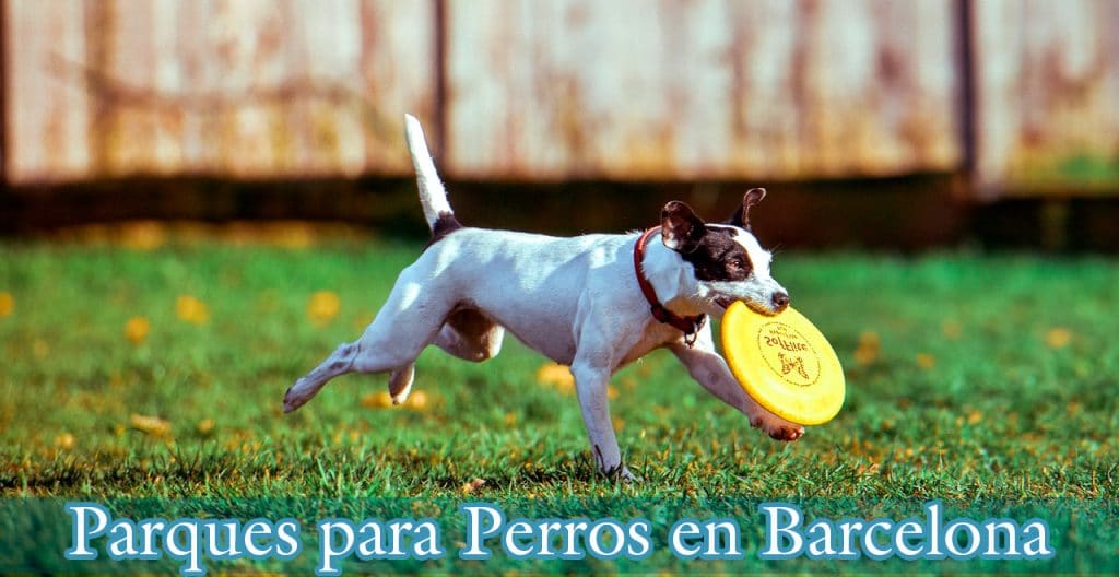 parque para perros barcelona